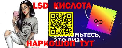 хмурый Кингисепп