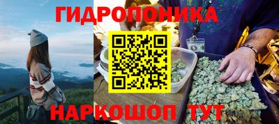 хмурый Кингисепп